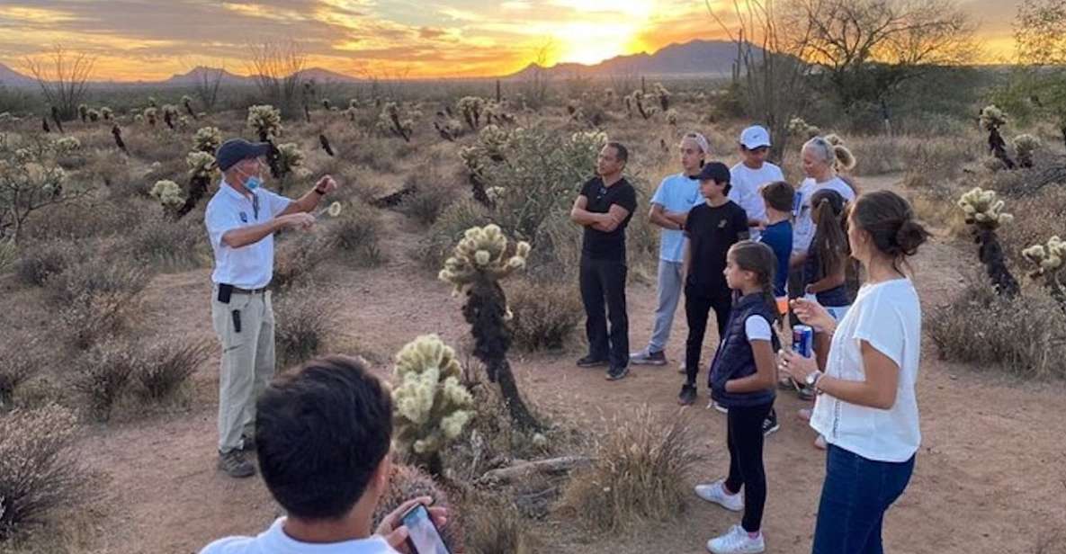 Scottsdale: McDowell Sonoran Preserve Hiking Tour - Whats Included