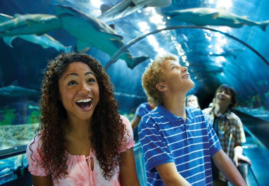 SeaWorld Orlando: Park Admission Ticket - Highlights