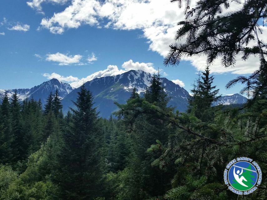 Seward: Stoney Creek Canopy Adventure - Common questions