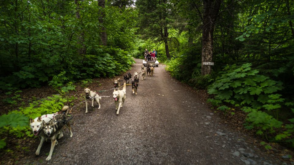 Seward: Summer Dog Sled Ride and Seavey Estate Tour - Accessibility and Cancellation Policy