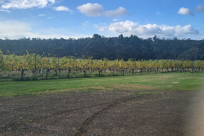 Signature Wine Tour From Hobart and Southern Tasmania - Cancellation Policy