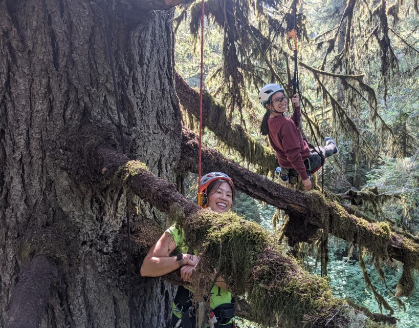 Silver Falls State Park: Tree Climbing Sunset Tour - Common questions