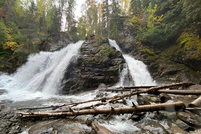 Small-Group Day Hike, Rivers and Forests of Chugach State Park  - Anchorage - Safety and Requirements