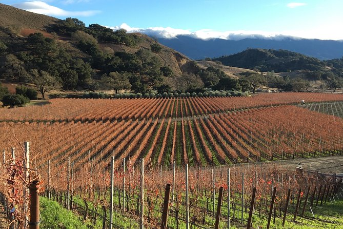 Small-Group Wine Tasting Tour of Santa Barbara Wine Country - Traveler Reviews