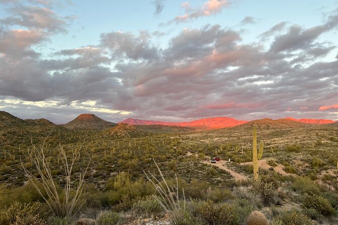 Sonoran Desert Hummer Night Tour With Local Guide  - Scottsdale - Exclusive Desert Exploration