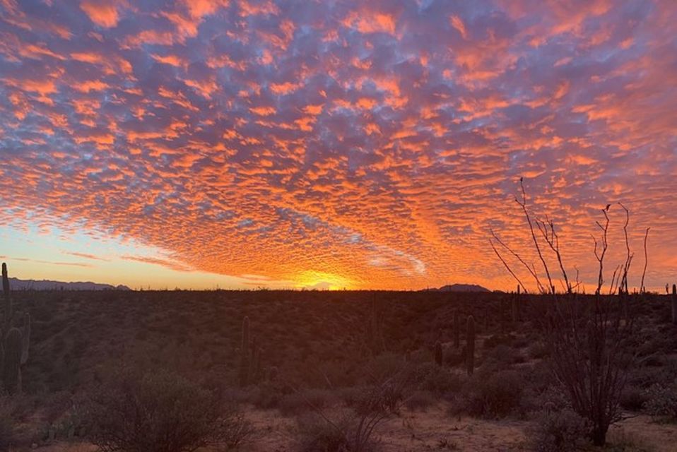 Sonoran Desert: Sunset Jeep Tour With Tonto National Forest - Tour Itinerary