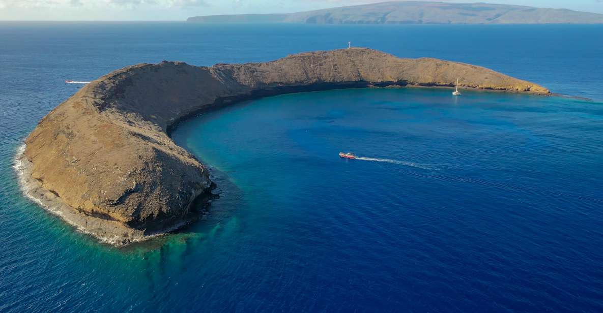 South Maui: Molokini Crater and Turtle Town Snorkeling Trip - Inclusions and Amenities