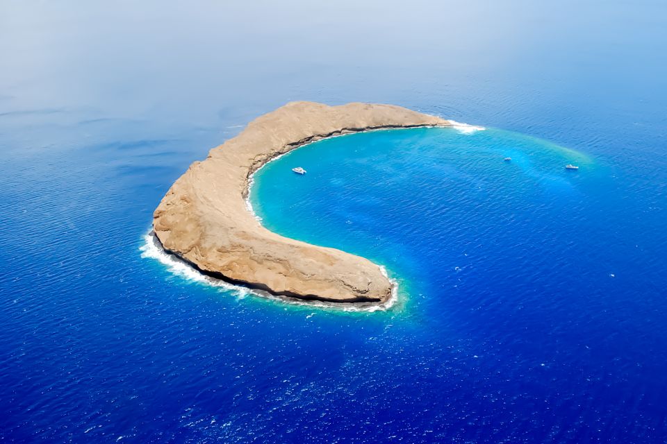 South Maui: Molokini Wild Eco Adventure From Maalaea Harbor - Experience Highlights