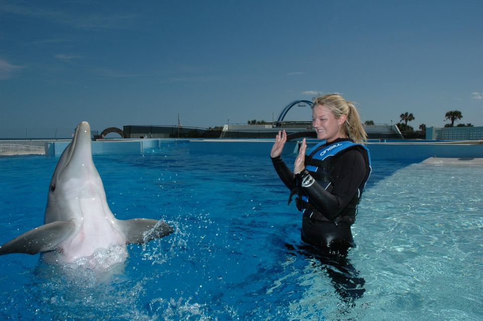 St. Augustine: Marineland Dolphin Encounter - Meeting Point