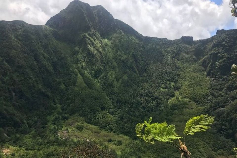 St Kitts: Jungle Bikes Off-Road ATV Tour - Customer Reviews