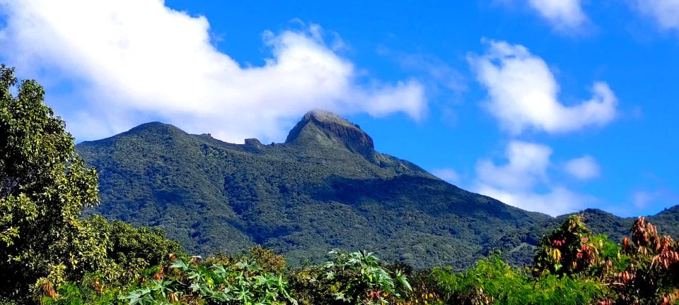 St. Kitts Mount Liamuiga Volcano Hike - Itinerary