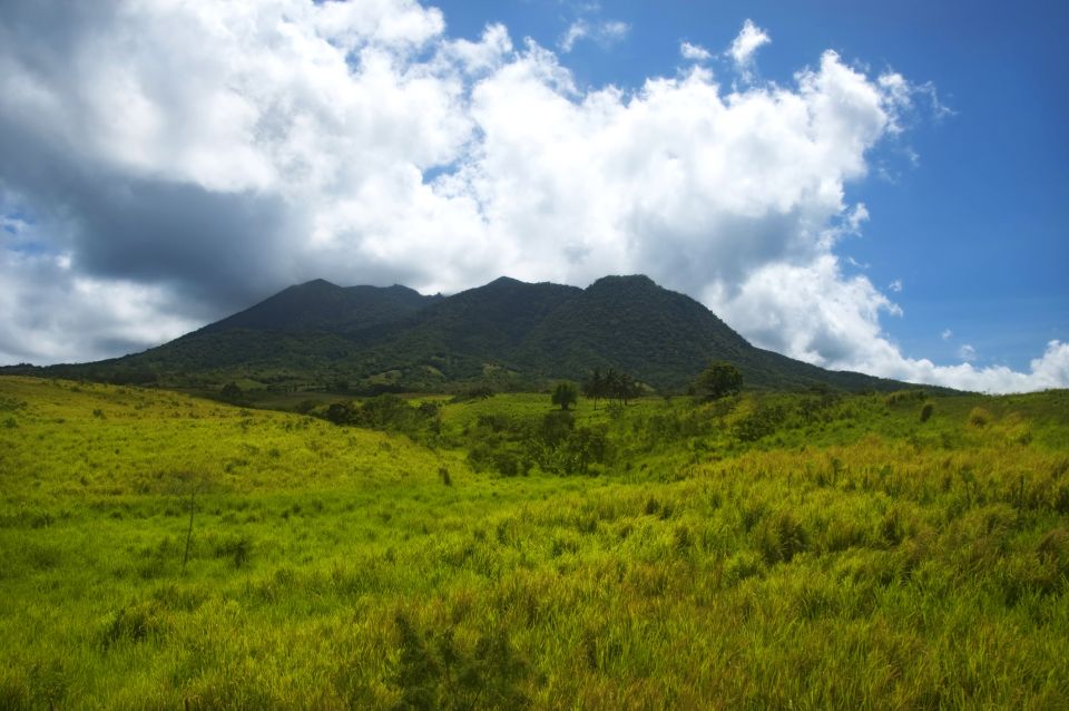 St. Kitts: Volcanic Hike Tour - Tour Description