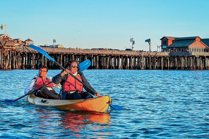 Sunset Kayak Tour of Santa Barbara With Knowledgeable Guide - Meeting Point and Logistics