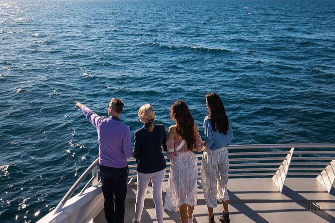 Sydney Hop-on-Hop-off Cruise and Whale Watching Cruise - Pricing and Value