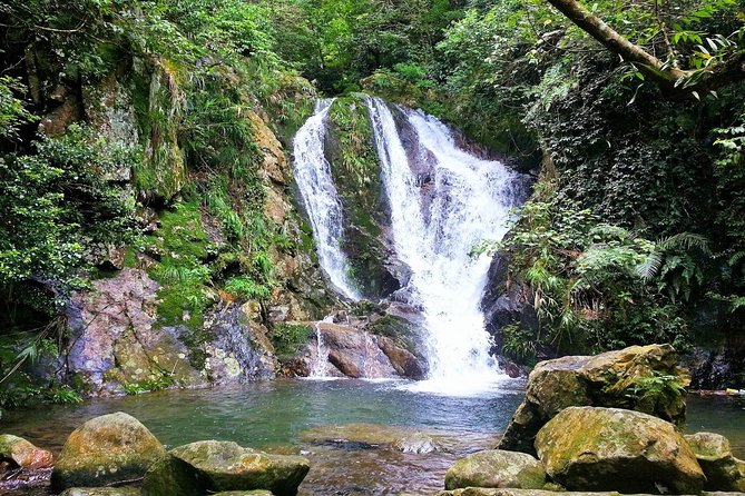 Tai Mo Shan Waterfall Adventure Hike - Additional Tips