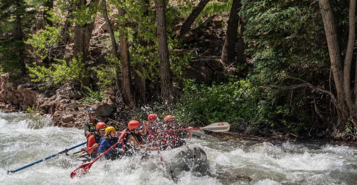 Telluride Whitewater Rafting - Morning Half Day - Activity Highlights