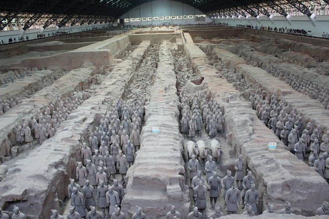 Terra-Cotta Warriors & Horses Essential Full Day Tour From Xian - Transportation Details