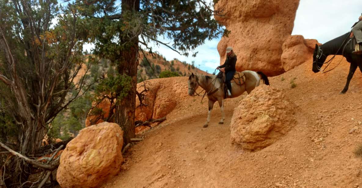 Thunder Mountain Trail: Scenic Horseback Ride - Experience Description