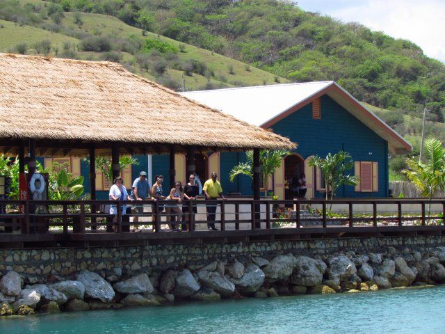 Touch Encounter With the Dolphins at Dolphin Cove Negril - Experience Highlights