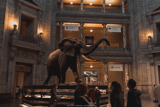 Two Smithsonian Museums: American & Natural History Private Tour - Reviews and Recommendations