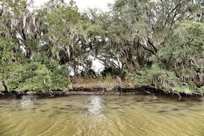 Ultimate Swamp Tour Experience With Transportation From New Orleans - Wildlife Encounters