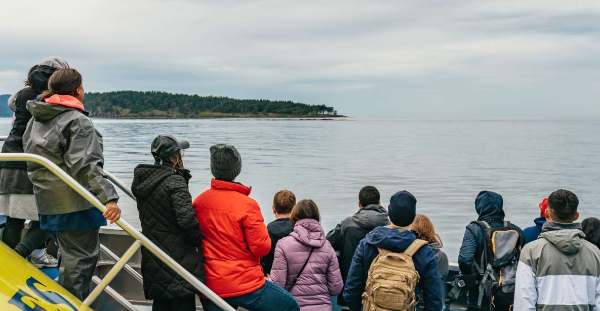 Vancouver, BC: Whale Watching Tour - Meeting Point Details