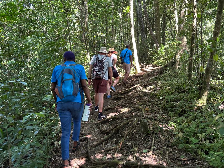 Vermont Nature Trail and Bird Watching Tour - Booking Information