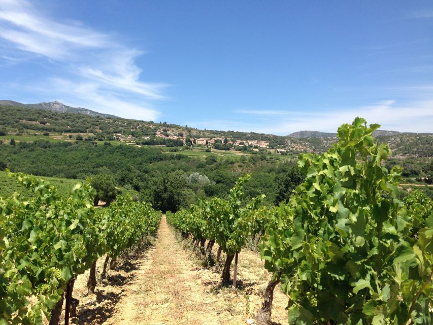 Vineyards and Village of the Languedoc - Itinerary Overview