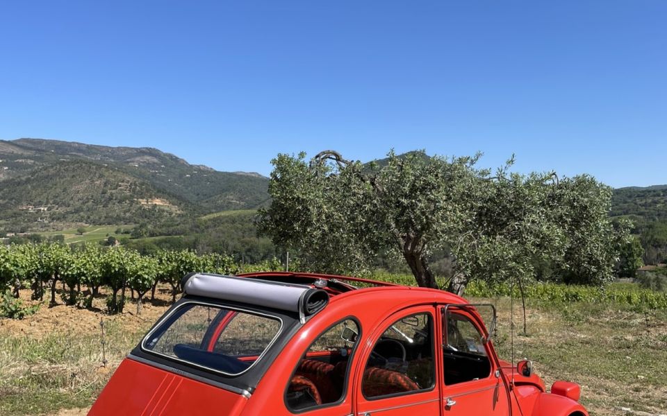 Vintage Wine Tour in Saint-Tropez - Not Suitable For