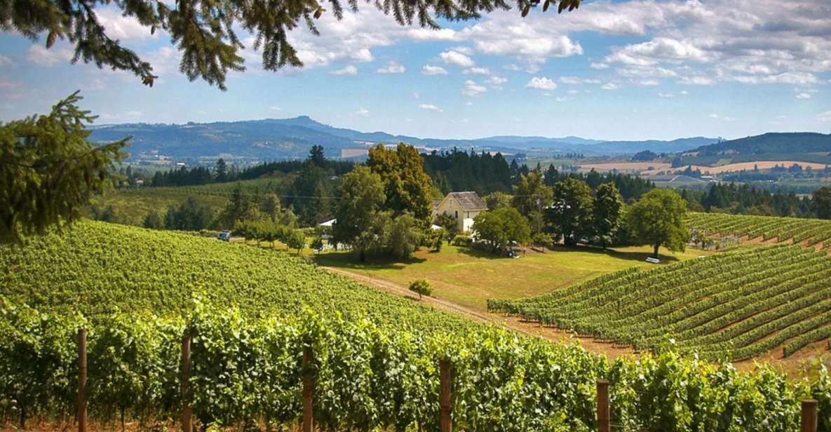 Willamette Valley Wine Tour: a Journey for the Senses - Important Information