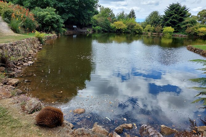 Wings Wildlife Park Tour With Burnie Attractions Bus - Meeting and Pickup Details