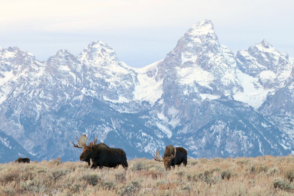 Wyoming: Grand Teton National Park Self-Guided Driving Tour - Route Stops and Landmarks