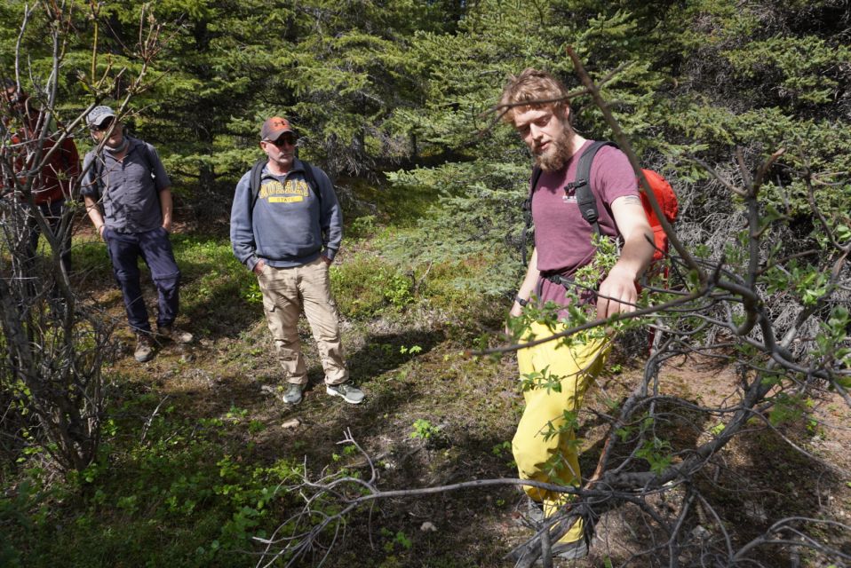 4 Hour Off-Trail Wilderness Wonders Tour in Denali - Key Points