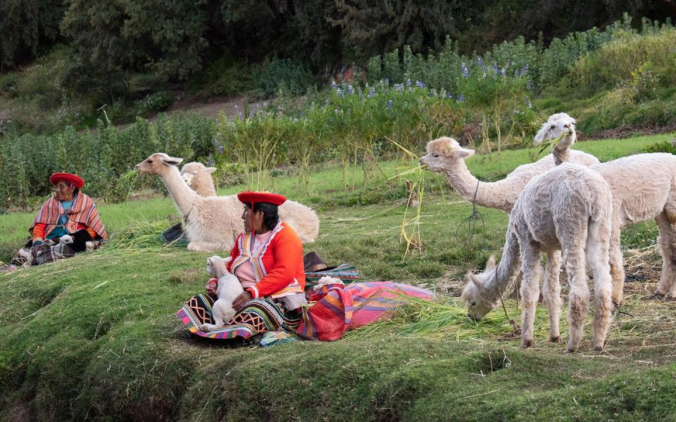 2 Days: City Tour in Cusco and Machupicchu Tour by Train - Reservation and Important Information