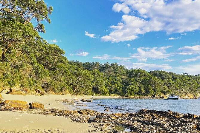 2-Hour Guided Walking Tour in Sydney Harbour National Park - Sum Up