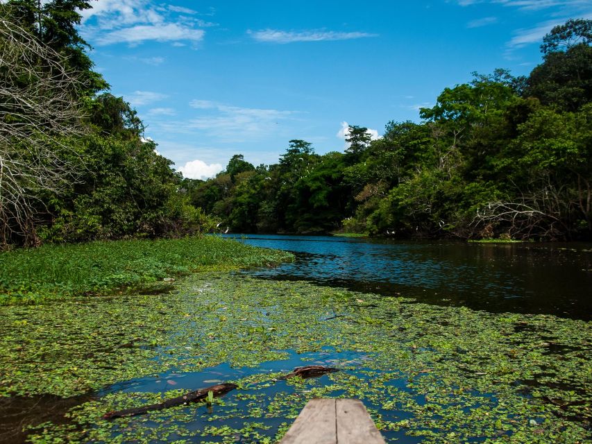 3-Day All Inclusive Pacaya Samiria Reserve From Iquitos - Sum Up