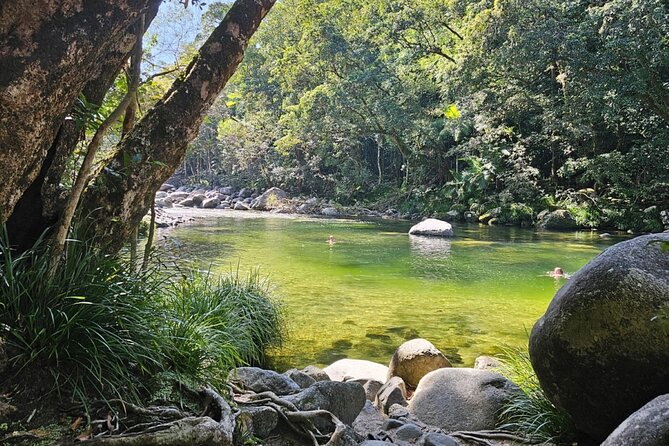 3B Daintree Rainforest, Mossman Gorge, Crocodile Wildlife Cruise - Booking Information and Assistance