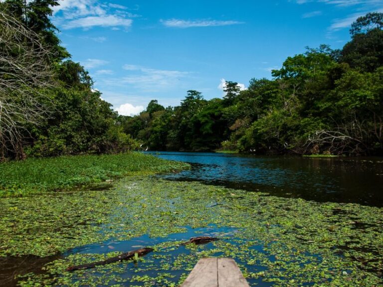 4-Day All Inclusive Pacaya Samiria Reserve From Iquitos