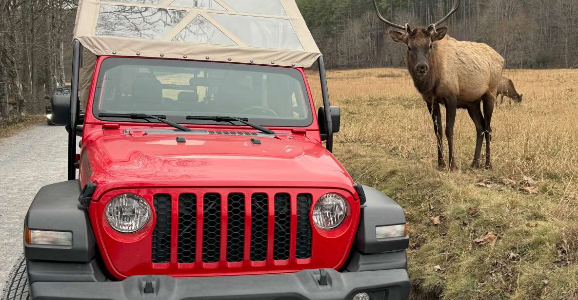 4 HR. Guided Safari Jeep Eco, ELK Wilderness Adventure - Important Information