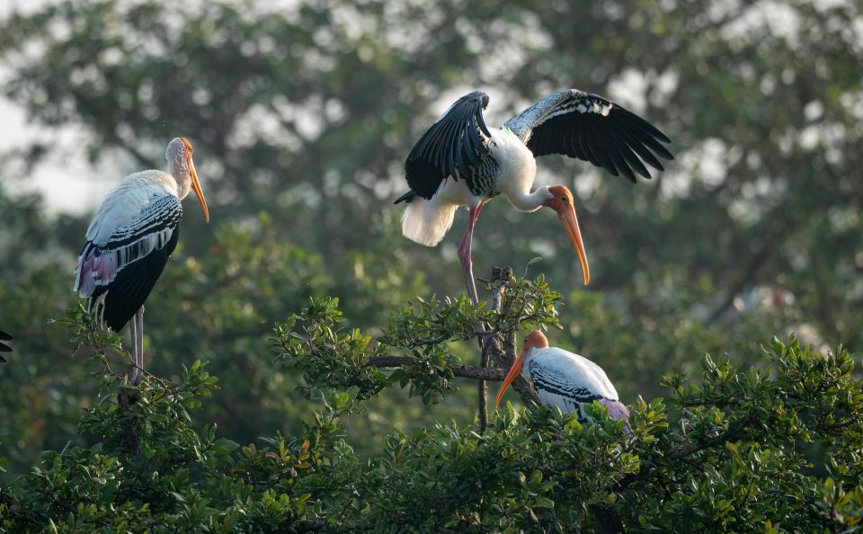 5 Days Golden Triangle With Tiger Safari & Bird Sanctuary - Important Information