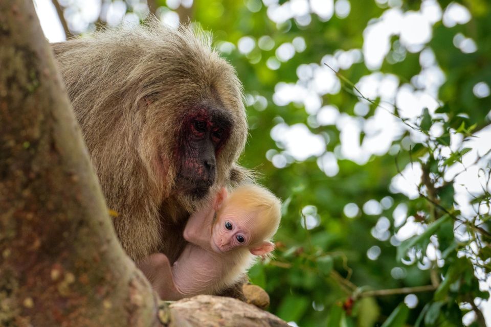 6 Days Tour to the Tambopata Highlands || Sandoval Lake || - Inclusions