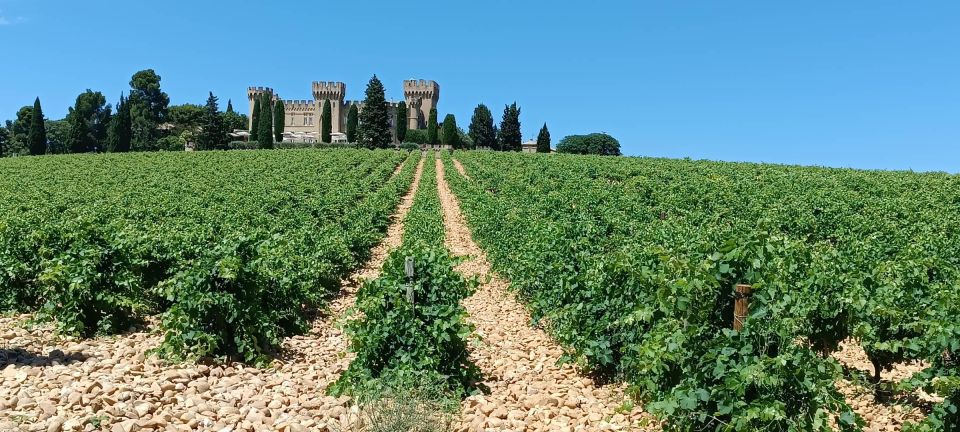 Aix-en-Provence: Avignon Tour & Chateauneuf-du-Pape Tasting - Pricing and Reviews