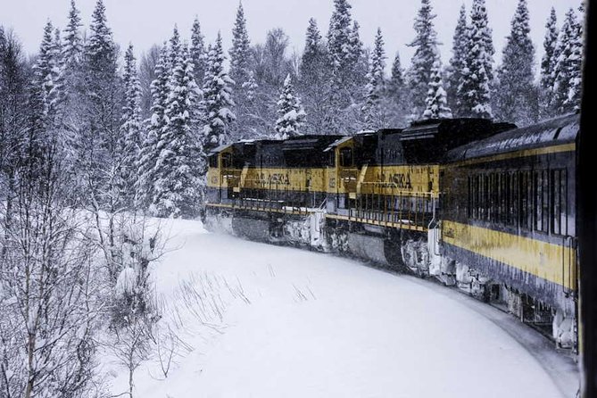Alaska Railroad Aurora Winter Fairbanks to Anchorage One Way - Additional Trip Details and Resources