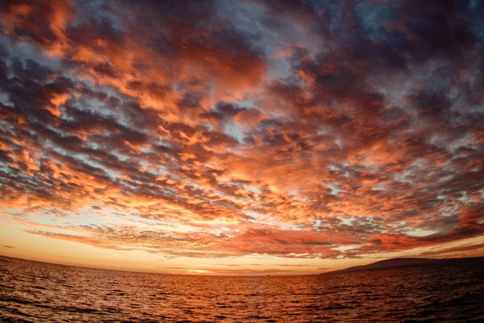 Alii Nui Makani Sunset Sail in Maui - Important Information