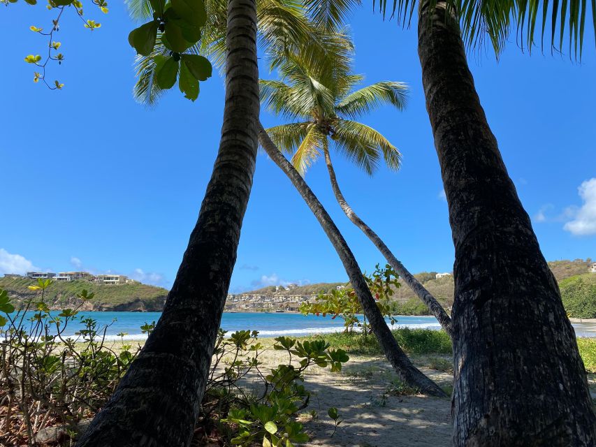 Beach Transfers - Booking Process