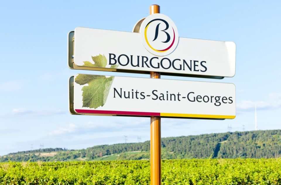 Beaune Vineyards Driving a 2CV With a Picnic - Personalized Itinerary Options