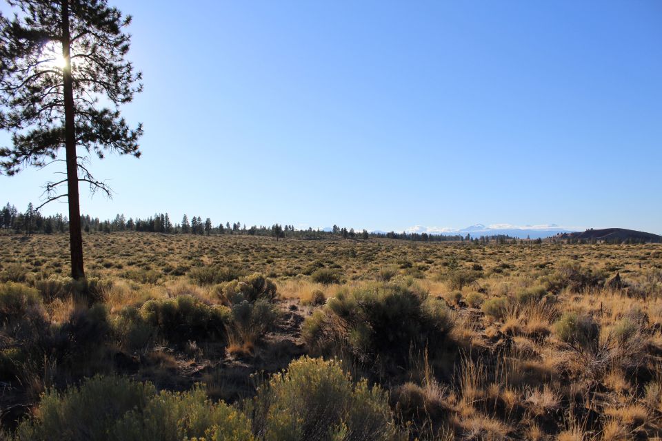 Bend: Half-Day Lava Tube Cave Tour - Sum Up