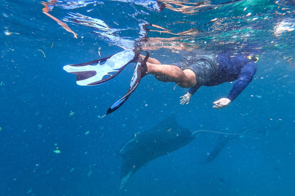 Big Island: Snorkel With Manta Rays - Manta Guarantee - Important Information for Participants