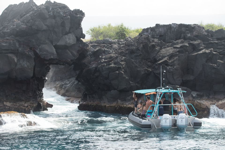 Big Island: South Kona Snorkeling and Coastline Exploration - Encounter Diverse Marine Life