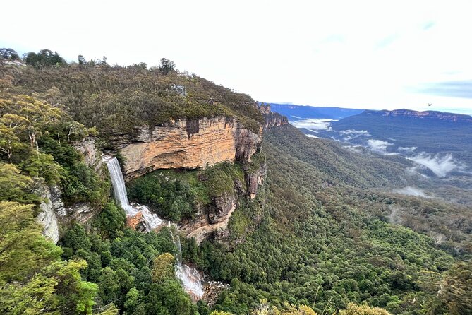 Blue Mountains Day Adventure, Featherdale Wildlife & River Cruise - Important Terms and Conditions